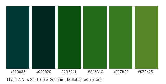 That’s a New Start - Color scheme palette thumbnail - #003835 #002820 #0b5011 #246b1c #397b23 #578425 