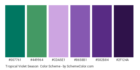 Tropical Violet Season - Color scheme palette thumbnail - #007761 #449964 #cda5e1 #8658b1 #582b84 #2f124a 