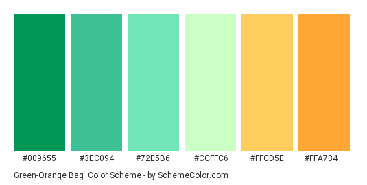 Green-Orange Bag - Color scheme palette thumbnail - #009655 #3ec094 #72e5b6 #ccffc6 #ffcd5e #ffa734 