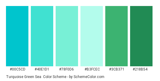 Turquoise Green Sea - Color scheme palette thumbnail - #00c5cd #40e1d1 #78f0d6 #b3fcec #3cb371 #218b54 