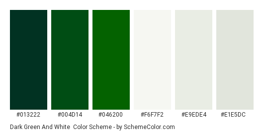 Dark Green and White - Color scheme palette thumbnail - #013222 #004D14 #046200 #F6F7F2 #E9EDE4 #E1E5DC 