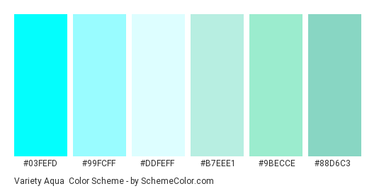 Variety Aqua - Color scheme palette thumbnail - #03fefd #99fcff #ddfeff #b7eee1 #9becce #88d6c3 