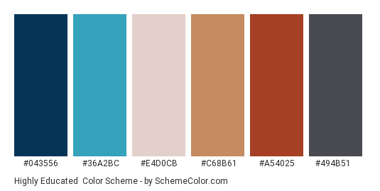 Highly Educated - Color scheme palette thumbnail - #043556 #36a2bc #e4d0cb #c68b61 #a54025 #494b51 