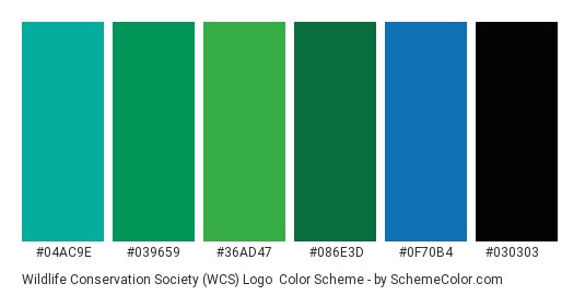 Wildlife Conservation Society (WCS) Logo - Color scheme palette thumbnail - #04AC9E #039659 #36AD47 #086E3D #0F70B4 #030303 