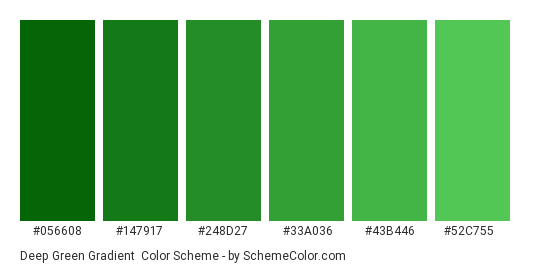 Deep Green Gradient - Color scheme palette thumbnail - #056608 #147917 #248D27 #33A036 #43B446 #52C755 