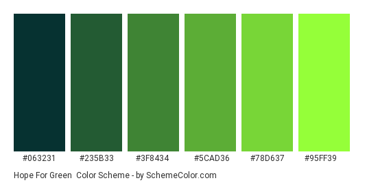 Hope for Green - Color scheme palette thumbnail - #063231 #235b33 #3f8434 #5cad36 #78d637 #95ff39 