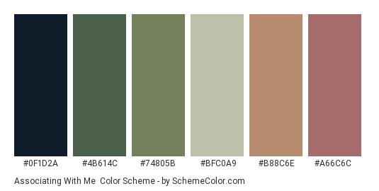 Associating With Me - Color scheme palette thumbnail - #0F1D2A #4B614C #74805B #BFC0A9 #B88C6E #A66C6C 