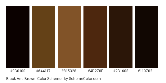 Black and Brown - Color scheme palette thumbnail - #0b0100 #644117 #815328 #4d270e #2b1608 #110702 