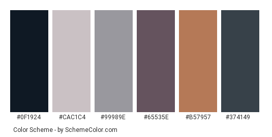 Onset of Winter - Color scheme palette thumbnail - #0f1924 #cac1c4 #99989e #65535e #b57957 #374149 