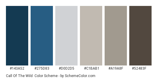 Call of the Wild - Color scheme palette thumbnail - #143a52 #275d83 #d0d2d5 #c1bab1 #a19a8f #52483f 