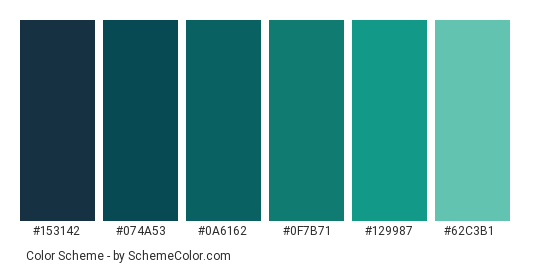 Blue-green Ocean Gradient - Color scheme palette thumbnail - #153142 #074a53 #0a6162 #0f7b71 #129987 #62c3b1 