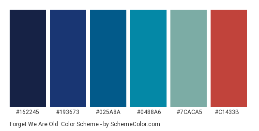 Forget We Are Old - Color scheme palette thumbnail - #162245 #193673 #025a8a #0488a6 #7caca5 #c1433b 