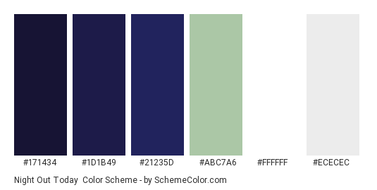 Night Out Today - Color scheme palette thumbnail - #171434 #1d1b49 #21235d #abc7a6 #ffffff #ececec 