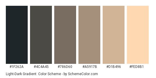 Light-Dark Gradient - Color scheme palette thumbnail - #1F262A #4C4A45 #786D60 #A5917B #D1B496 #FED8B1 