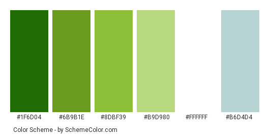 Raindrops on Grass - Color scheme palette thumbnail - #1f6d04 #6b9b1e #8dbf39 #b9d980 #ffffff #b6d4d4 