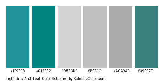 Light Grey and Teal - Color scheme palette thumbnail - #1f9398 #018382 #d5d3d3 #bfc1c1 #aca9a9 #39807e 