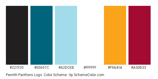 Penrith Panthers Logo - Color scheme palette thumbnail - #221f20 #00657c #a2dceb #ffffff #f9a41a #a30b33 