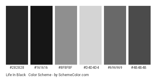 Life in Black & White - Color scheme palette thumbnail - #282828 #161616 #8f8f8f #d4d4d4 #696969 #4b4b4b 