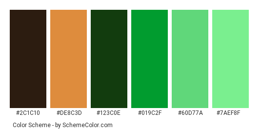 Green Hummingbird - Color scheme palette thumbnail - #2c1c10 #de8c3d #123c0e #019c2f #60d77a #7aef8f 