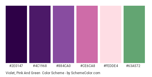 Violet, Pink and Green - Color scheme palette thumbnail - #2e0147 #4c1968 #884ca0 #ce6ca8 #fedde4 #63a572 