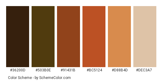 Road in Fall - Color scheme palette thumbnail - #36200d #503b0e #91431b #bc5124 #d88b4d #dec3a7 