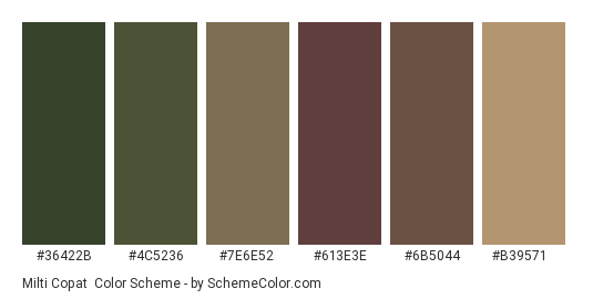 Milti Copat - Color scheme palette thumbnail - #36422b #4c5236 #7e6e52 #613e3e #6b5044 #b39571 