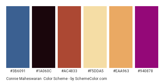 Connie Maheswaran - Color scheme palette thumbnail - #3b6091 #1a060c #ac4833 #f5dda5 #eaa963 #940878 