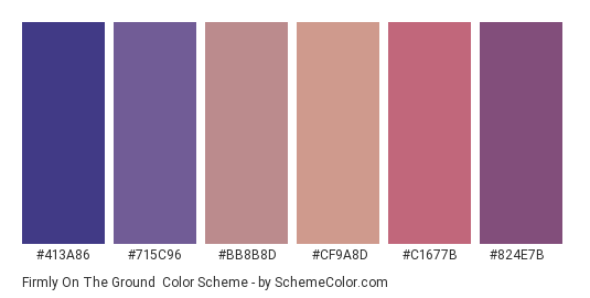 Firmly on the Ground - Color scheme palette thumbnail - #413a86 #715c96 #bb8b8d #cf9a8d #c1677b #824e7b 