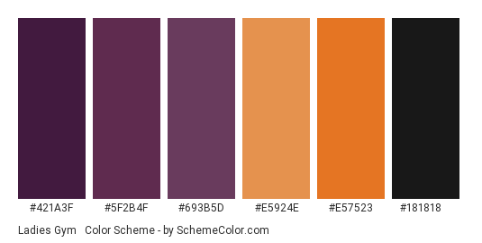 Ladies Gym #1 - Color scheme palette thumbnail - #421a3f #5f2b4f #693b5d #e5924e #e57523 #181818 