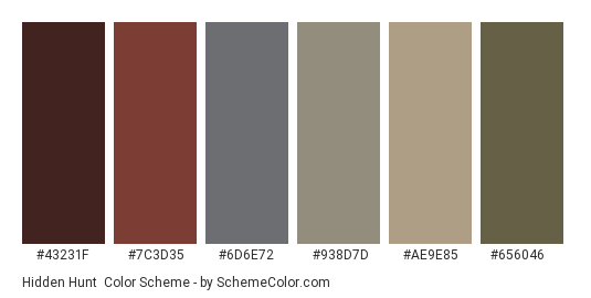 Hidden Hunt - Color scheme palette thumbnail - #43231f #7c3d35 #6d6e72 #938d7d #ae9e85 #656046 