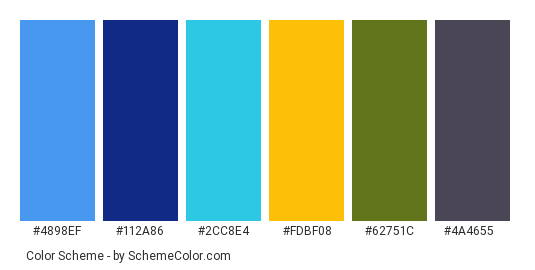 Wildlife Bird - Color scheme palette thumbnail - #4898ef #112a86 #2cc8e4 #fdbf08 #62751c #4a4655 