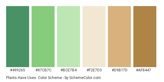 Plants have Uses - Color scheme palette thumbnail - #499265 #87CB7C #BCE7B4 #F2E7D3 #D9B17D #AF8447 