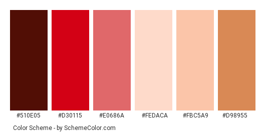 It Will Be Alright - Color scheme palette thumbnail - #510e05 #d30115 #e0686a #fedaca #fbc5a9 #d98955 