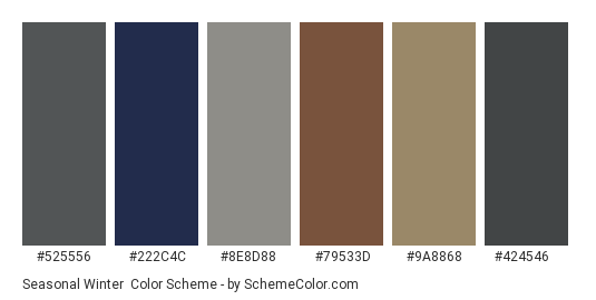 Seasonal Winter - Color scheme palette thumbnail - #525556 #222c4c #8e8d88 #79533d #9a8868 #424546 