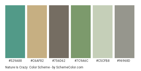 Nature is Crazy - Color scheme palette thumbnail - #529a88 #c6af82 #756d62 #7c9a6c #c5cfb8 #96968d 