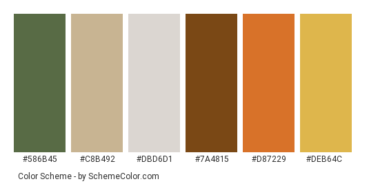My Living Space - Color scheme palette thumbnail - #586B45 #C8B492 #DBD6D1 #7A4815 #D87229 #DEB64C 