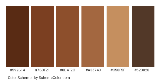 Brown Leather Brogues - Color scheme palette thumbnail - #592b14 #7b3f21 #8d4f2c #a36740 #c58f5f #523828 