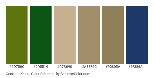 Contrast Khaki - Color scheme palette thumbnail - #5D750C #0D5514 #C7B090 #A38E6C #90805A #1F386A 