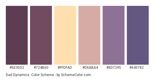Dad Dynamics - Color scheme palette thumbnail - #5E3D52 #724B60 #FFDFAD #D6ABA4 #8D7295 #645782 