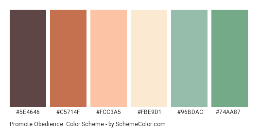 Promote Obedience - Color scheme palette thumbnail - #5E4646 #C5714F #FCC3A5 #FBE9D1 #96BDAC #74AA87 