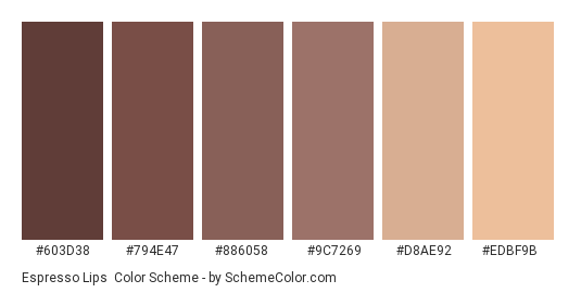 Espresso Lips - Color scheme palette thumbnail - #603d38 #794e47 #886058 #9c7269 #d8ae92 #edbf9b 