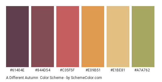 A Different Autumn - Color scheme palette thumbnail - #61404e #844d54 #c35f5f #e09b51 #e1be81 #a7a762 
