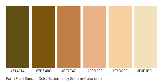 Farm Field Sunset - Color scheme palette thumbnail - #614F14 #7D540C #BF7F47 #E9B289 #F6D09F #F3E1B9 