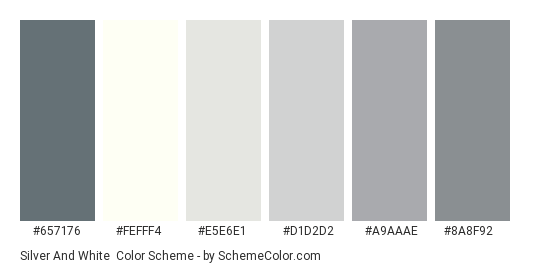 Silver and White - Color scheme palette thumbnail - #657176 #FEFFF4 #E5E6E1 #D1D2D2 #A9AAAE #8A8F92 