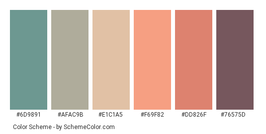 Sunset Vintage Hues - Color scheme palette thumbnail - #6d9891 #afac9b #e1c1a5 #f69f82 #dd826f #76575d 