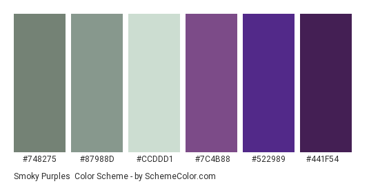 Smoky Purples - Color scheme palette thumbnail - #748275 #87988d #CCDDD1 #7c4b88 #522989 #441f54 