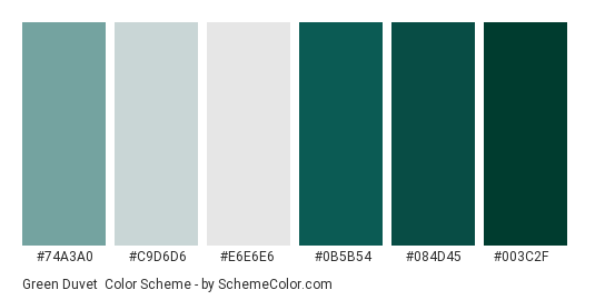 Green Duvet - Color scheme palette thumbnail - #74a3a0 #c9d6d6 #e6e6e6 #0b5b54 #084d45 #003c2f 