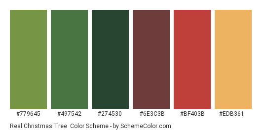 Real Christmas Tree - Color scheme palette thumbnail - #779645 #497542 #274530 #6E3C3B #BF403B #EDB361 