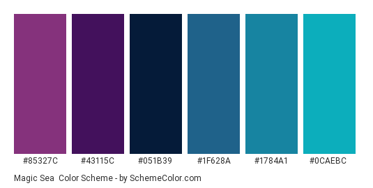 Magic Sea - Color scheme palette thumbnail - #85327C #43115C #051B39 #1F628A #1784A1 #0CAEBC 