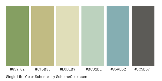 Single Life - Color scheme palette thumbnail - #859f62 #c1bb83 #e0deb9 #bcd2be #85aeb2 #5c5b57 